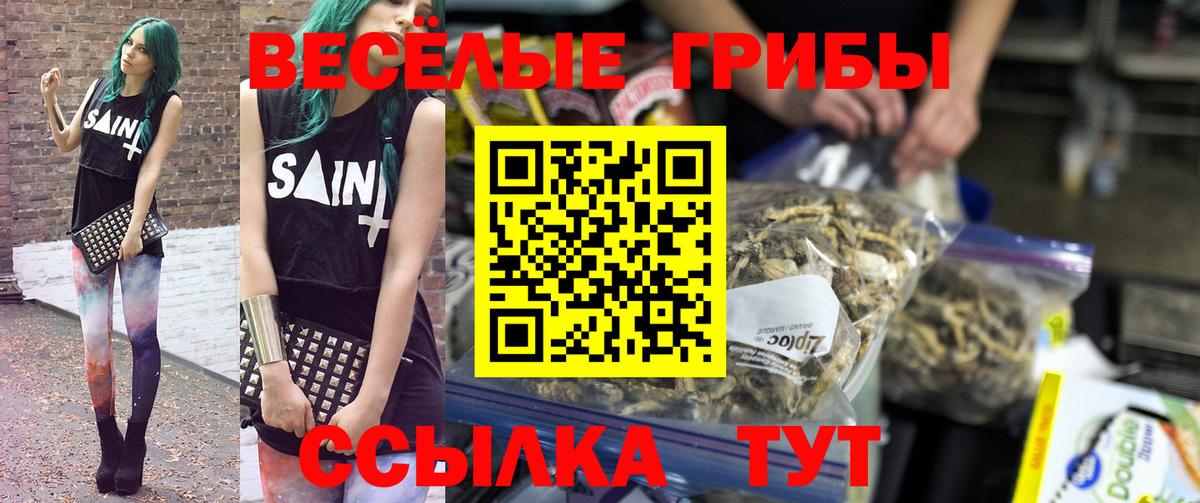 Псилоцибиновые грибы мухоморы Сызрань